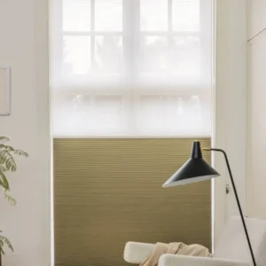 Day and Night Blinds