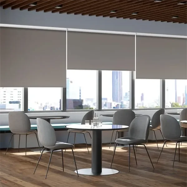 Modern Workspace Blinds