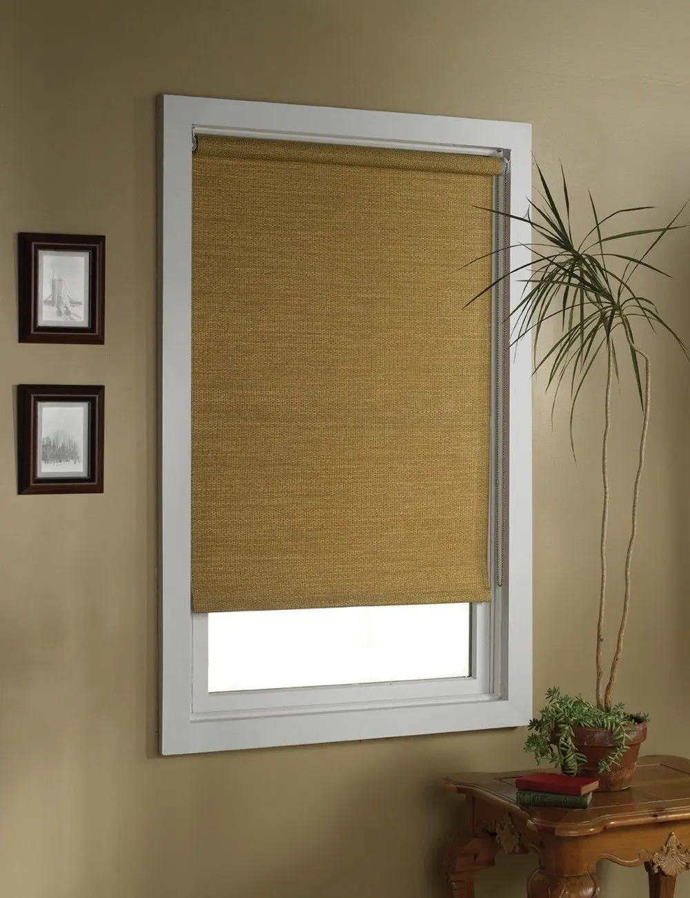 Window Blinds