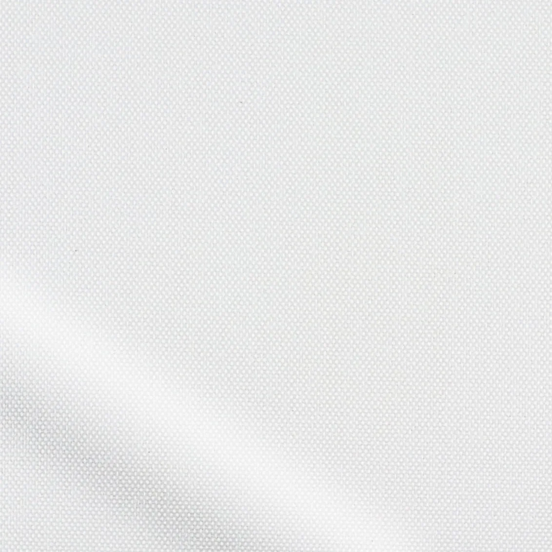 Eden Veil Roller Blind