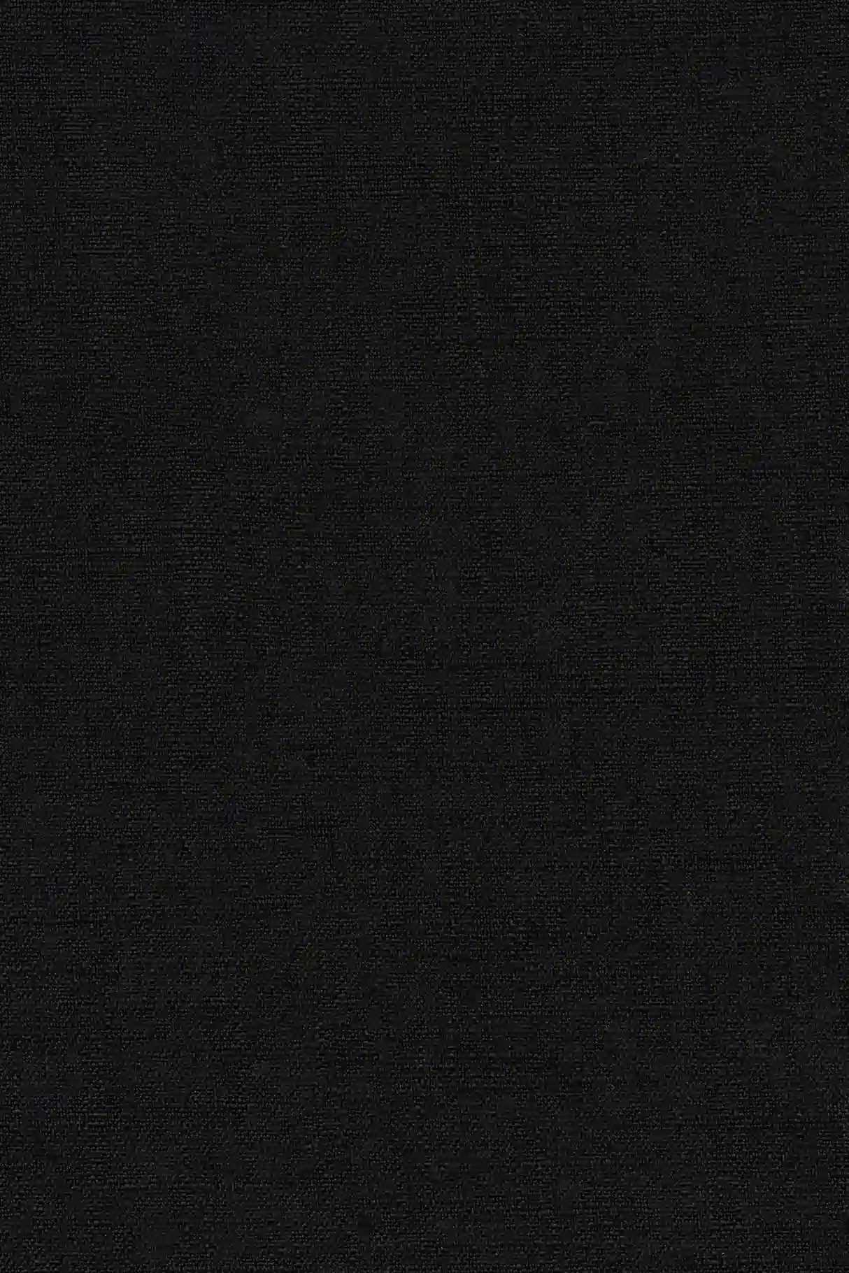 Mulligan Onyx Sheer Curtain