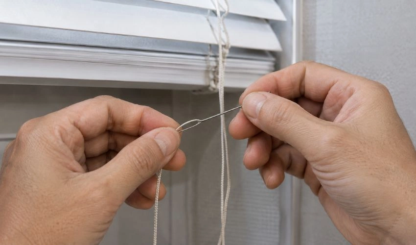 Needle or Cord Thread 