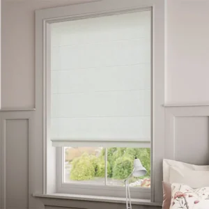 Nordic Snow Roman Blind